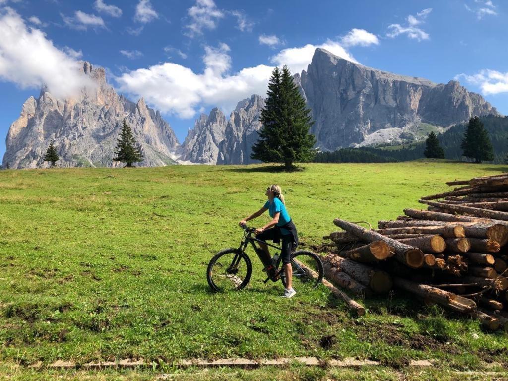 Garni Hotel Mezdi Selva di Val Gardena Exterior foto